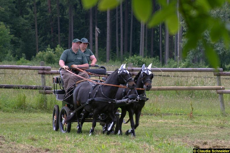 Ponytag Bosbach 2012-017.jpg